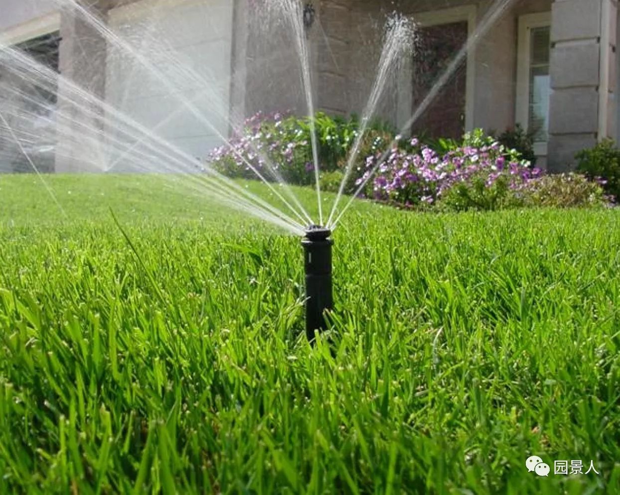 优质人造草坪维护,济宁人造草坪维护