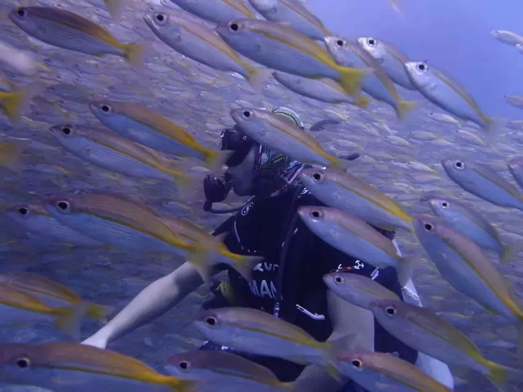 酷潜潜水普吉岛,普吉岛潜水不会游泳可以潜吗