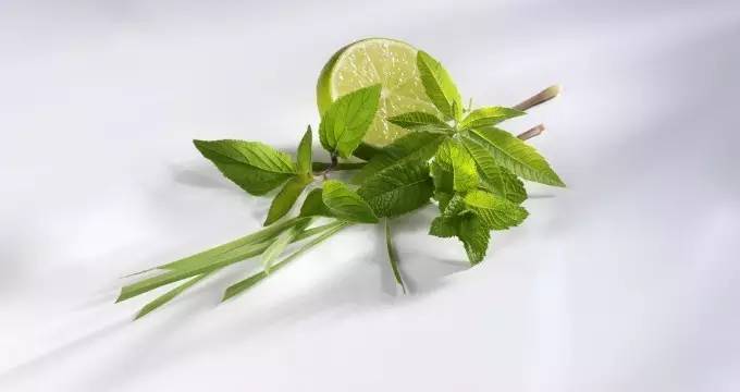 风水上卫生间应该注意什么,风水中如何消除湿气