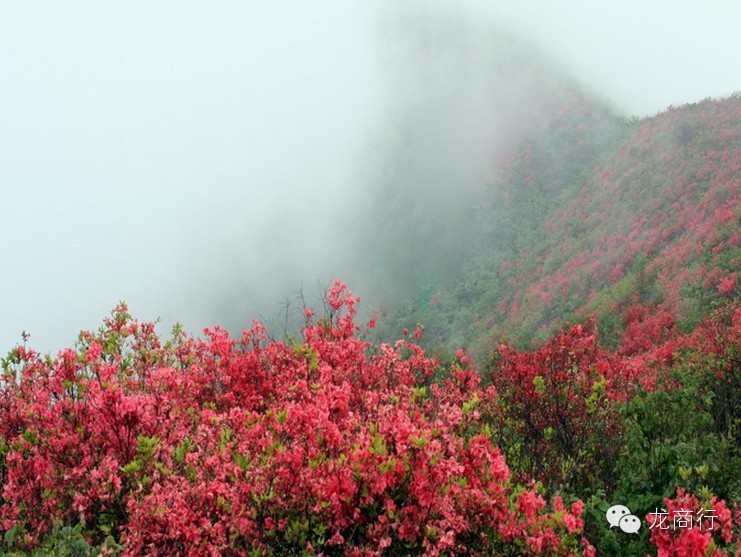 龙游——这下带你像龙一样飞，双飞