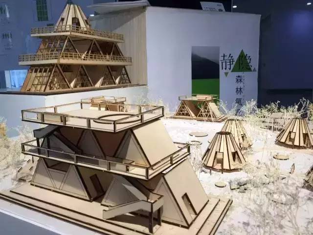 你们这么造秦岭，熊猫大大和朱鹮宝宝造吗？——极体营的小伙伴毕业了，他们的脑洞惊动了整个森林