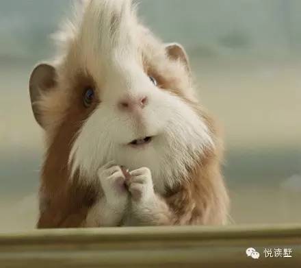 宝宝护臀膏可以擦湿疹吗,护臀霜新生儿有必要买嘛