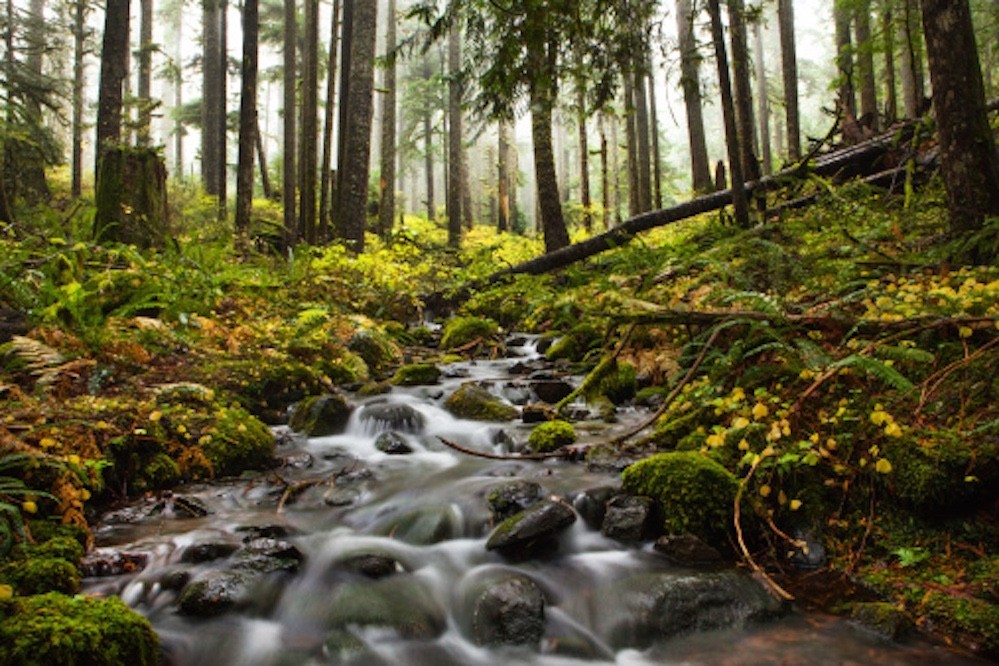 出游必备｜守护健康的小药箱