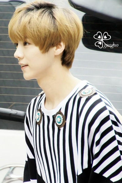 exo鹿晗事件,exo鹿晗受过的伤