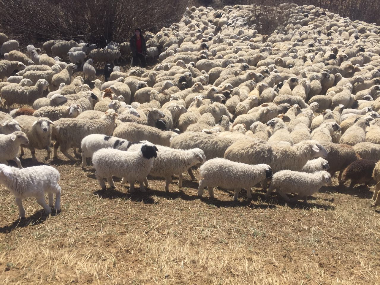 寻北路上，你需要知道的“姿势”