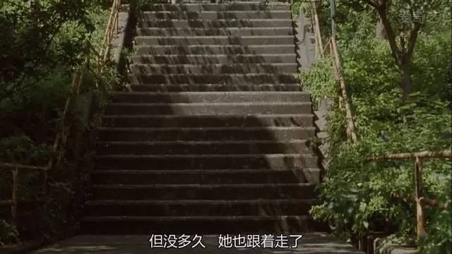 步履不停你才25岁,步履不停你才25岁台词