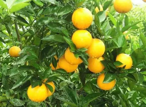 不要听说郴州怎样，进来听听郴州怎么说。