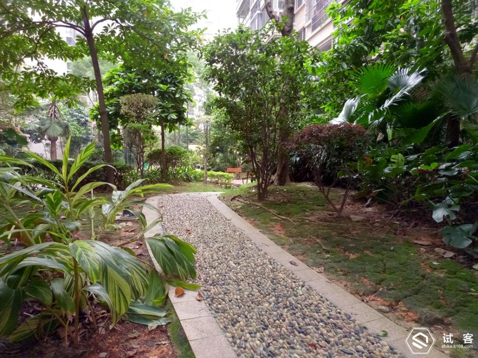 金立天鉴w909系统还可以再升级吗,金立天鉴w909手机充不了电怎么办