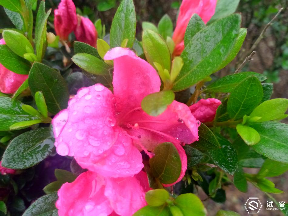 金立天鉴w909,金立天鉴w909主题