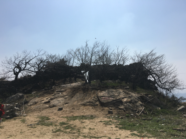随州广水三潭风景区图片,随州广水三潭风景区门票价格