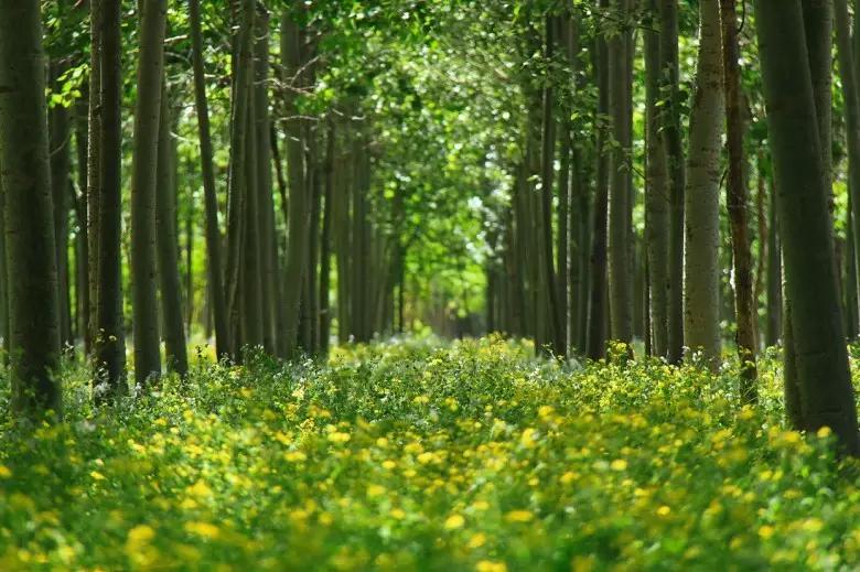 千万别来北京亦庄，我是认真的！