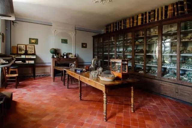 昆虫记课外书必读推荐,推荐书目《昆虫记》