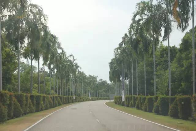 悦榕庄banyantree酒店,新加坡民丹岛酒店攻略