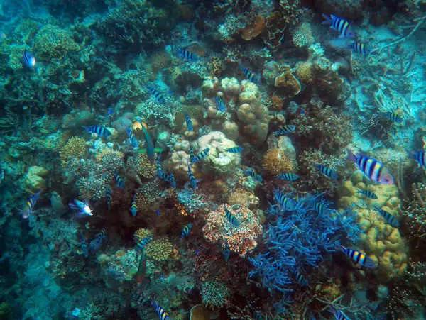 这才是菲律宾的真面目，一顾迷人眼，再顾享入“菲菲”