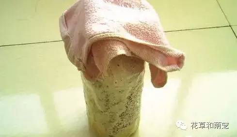 怎么在家里简单一点的种蘑菇,城里人想种菜怎么种