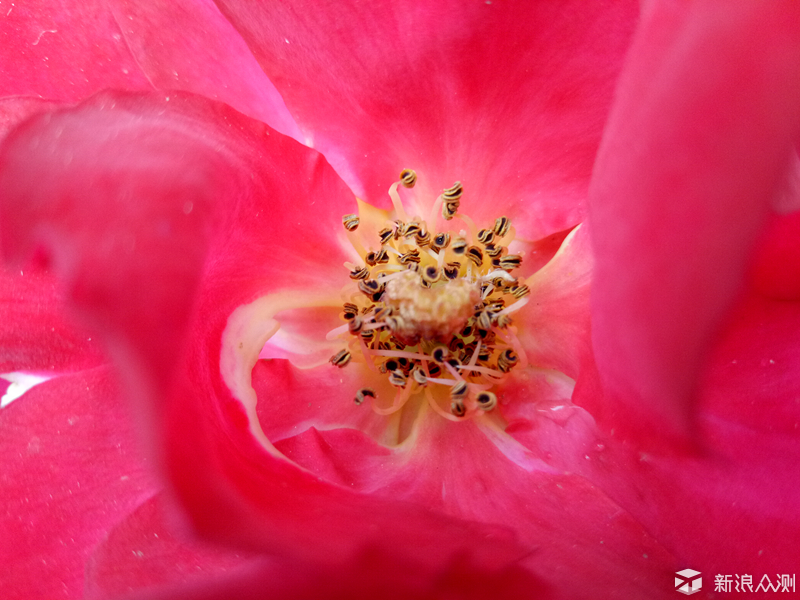 oppor9还值不值得入手,oppoa72值不值得买