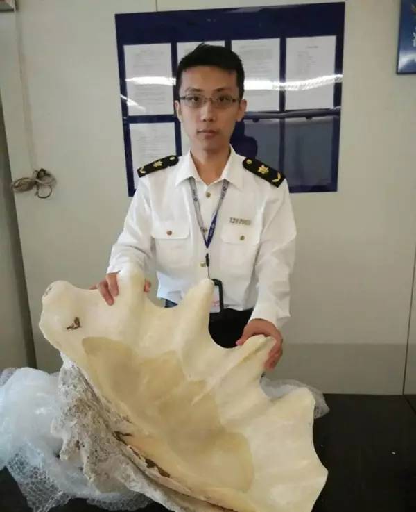 慎点！有人居然往成都寄这种虫，体积是国内的3倍