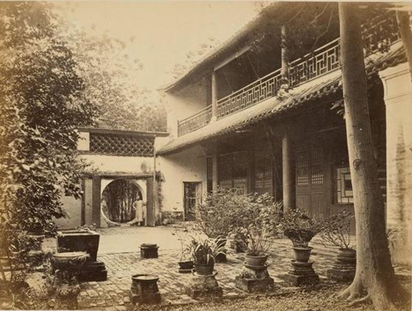 三鞭参茸固本丸功效与作用禁忌,同仁堂固本丸