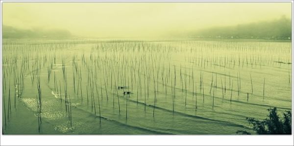 雨中霞浦，遗憾竟然也能如此之美！