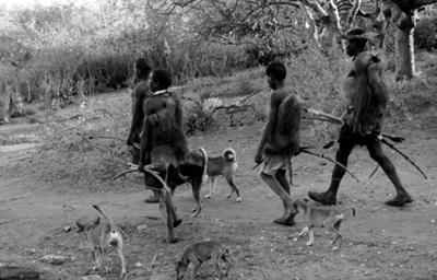 二货哈士奇是怎么来的？难道真是狼和狗OOXX...生的？！