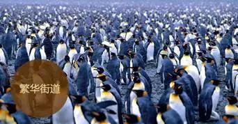 还记得那些年你追过的球队吗,还记得当年的最强阵容吗