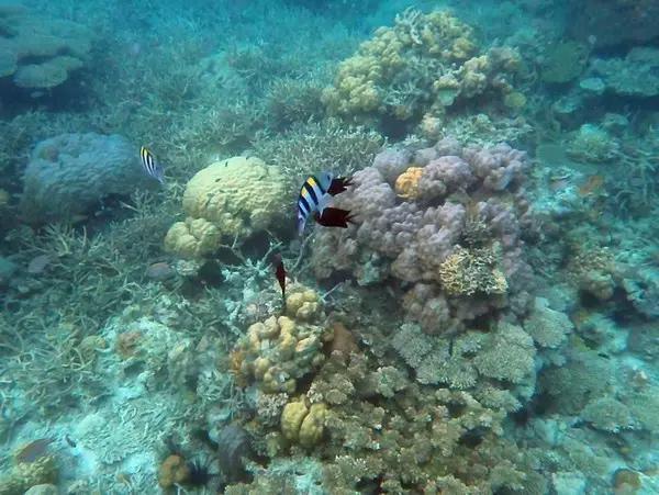这才是菲律宾的真面目，一顾迷人眼，再顾享入“菲菲”