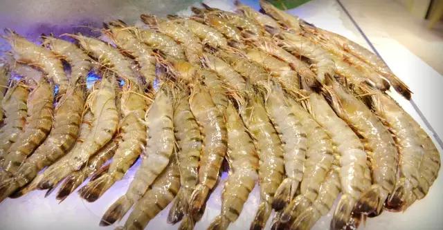 京城最贵海鲜自助餐厅,京城最过瘾的自助餐