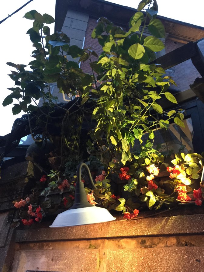 鼓浪屿自驾游全攻略,厦门鼓浪屿登岛全攻略