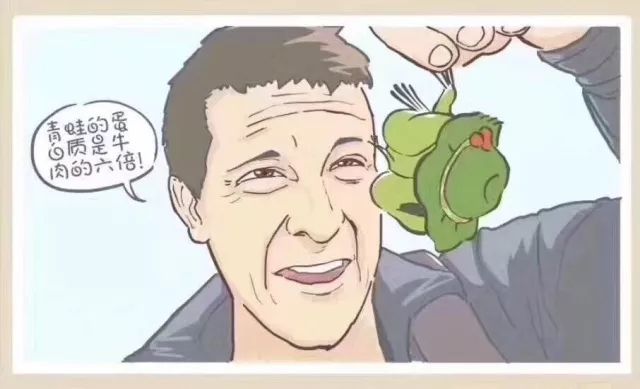 闲着也是闲着｜你的青蛙还没回家？可能去了法国，然后变成了一盘儿菜
