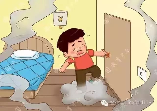 屋里发现一只蜘蛛,屋子里发现蜘蛛