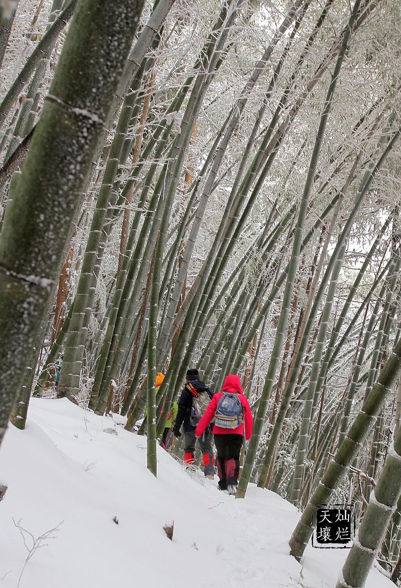 赏雪何须去北国,赏雪不用去远方