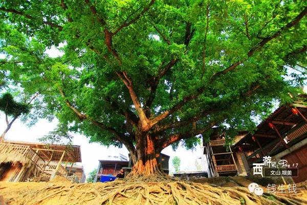 小两口自驾游19000多公里，西行64天，超美！