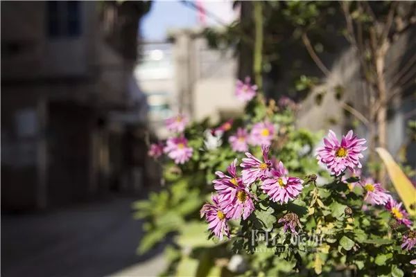 鄞州区姜山老街,姜山古街历史