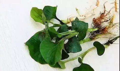 防雾霾靠大家人都要从自己做起,防雾霾全攻略