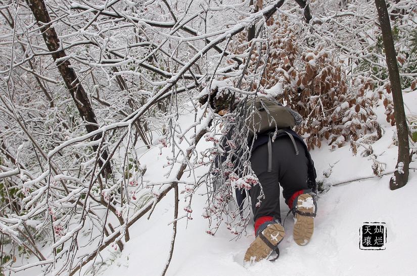 赏雪何须去北国,赏雪不用去远方