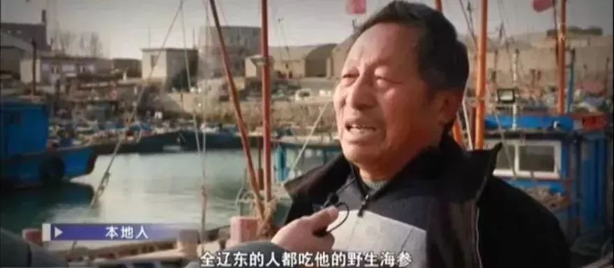 十块钱吃海鲜,吃海参的秘密