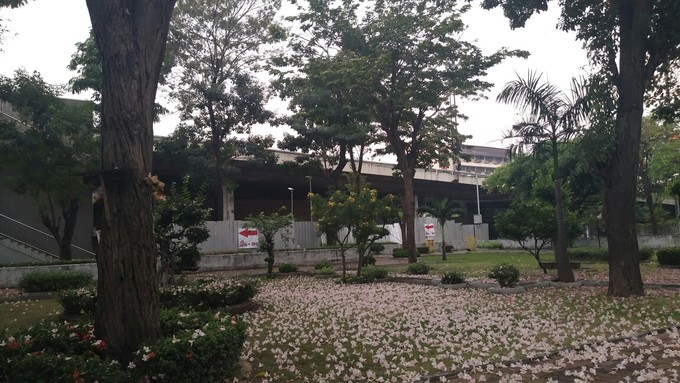 在泰国和泰国人对话,在泰国旅游怎么沟通