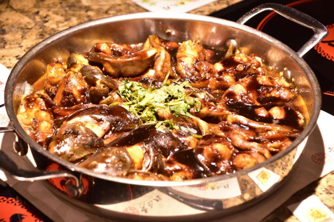 石家庄荣鼎ZooMall“吃货”齐聚，与萌宠和美食完美邂逅！