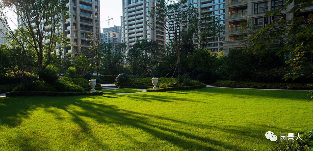 阳光草地美景,福州阳光草坪