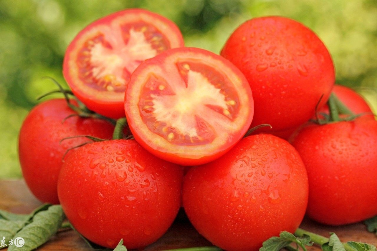 男人补肾效果最好的补品推荐,男人要吃什么补品才能强壮身体