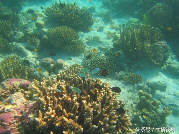 仙本那海岛游玩,仙本那海岛度假