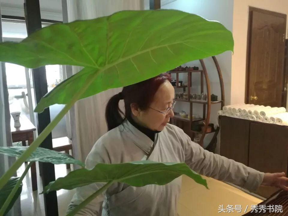 茶道养生课视频教程,茶道养生全集视频