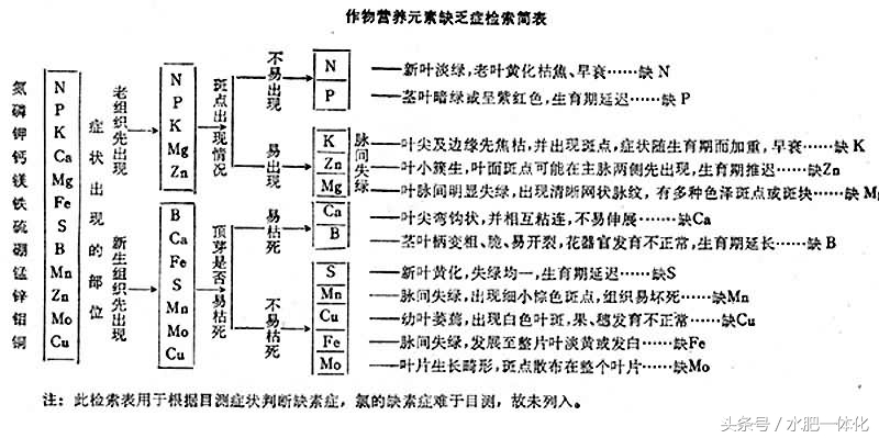 农作物生长发育所需的营养元素,作物生长必备元素的作用