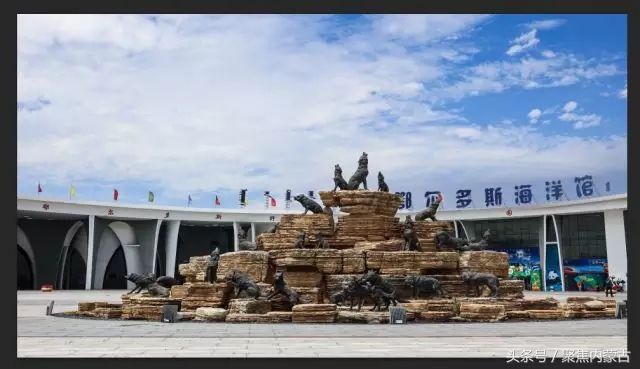 鄂尔多斯海洋馆开放时间,鄂尔多斯海洋馆旅游攻略