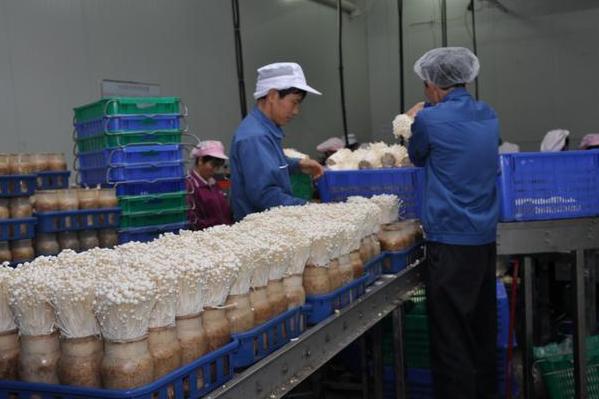 不想打工了有没有好的创业项目,不想打工低成本创业做什么好