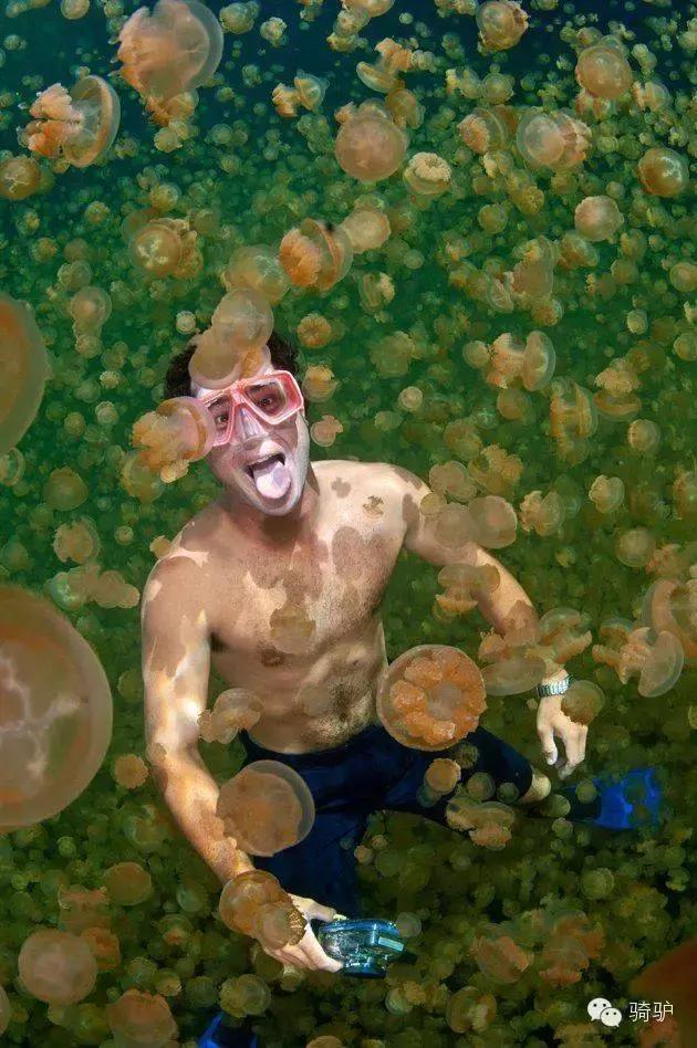 帕劳最新政策消息,帕劳现在怎么样了