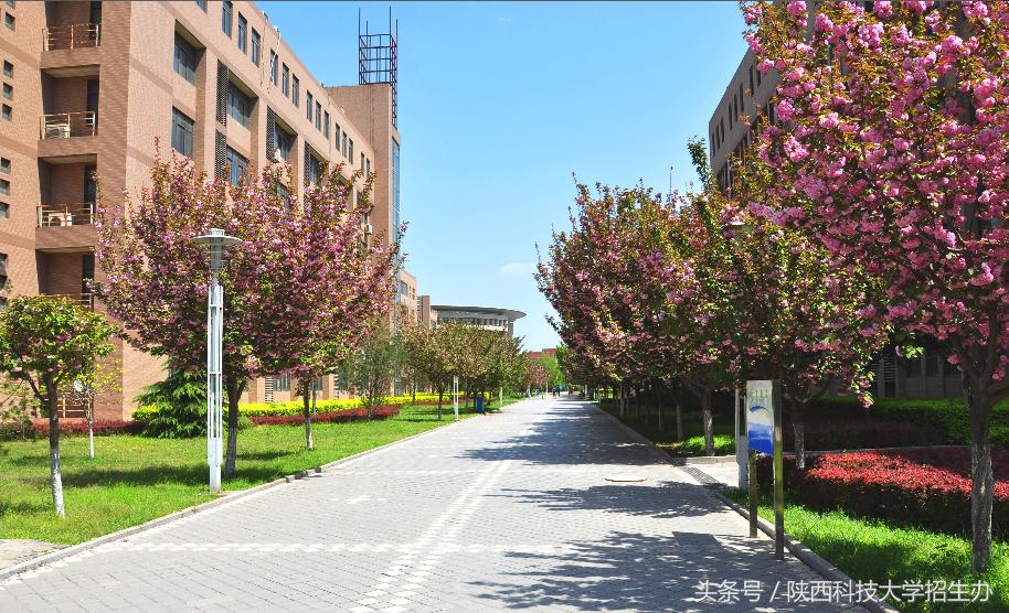 已无解！“最牛”陕科大学霸宿舍，6个女生被称为“奖项收割机”