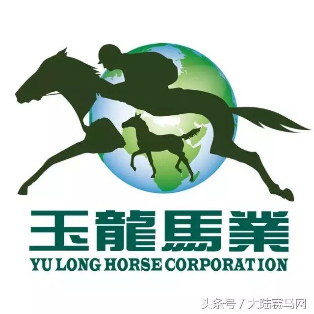 “吉祥如意”当选2017赛季玉龙马会年度马王:“赛事五魁”出炉