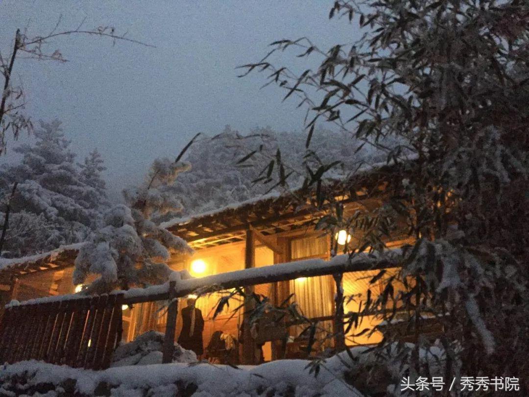 茶道养生课视频教程,茶道养生全集视频