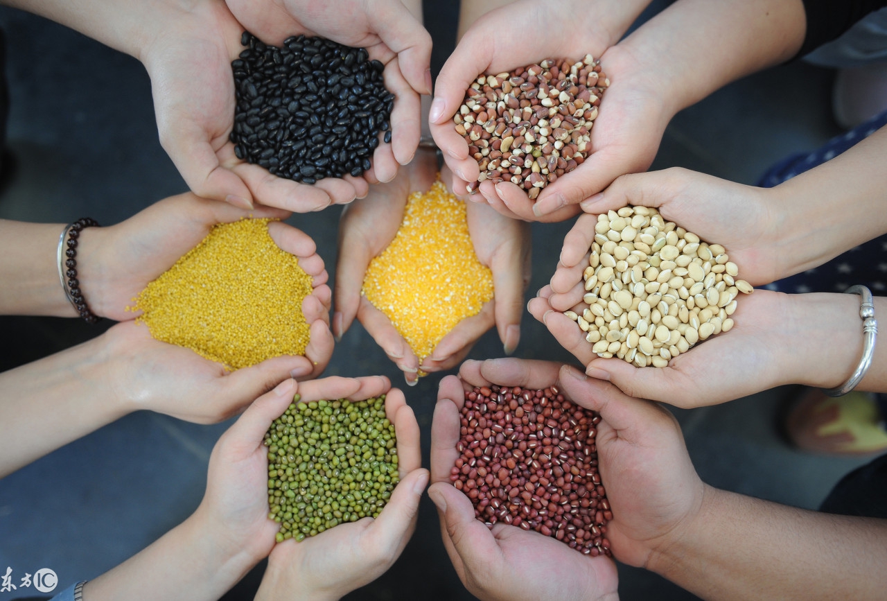 痛风饮食真相最新最权威赶紧收藏,生酮饮食治疗痛风